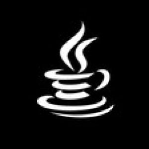 Java Object Oriented Programming Analysis Design OOPs & OOAD