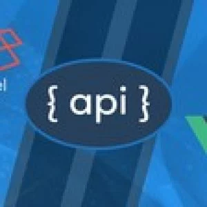 Laravel API Development & Vue JS SPA from Scratch