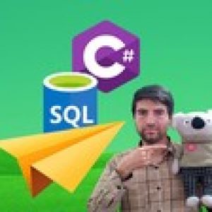 SQL in C# Series: Search SQL Server Data in C# Code