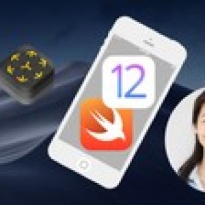 iOS 12 Swift 4.2 - The Complete iOS App Development Bootcamp