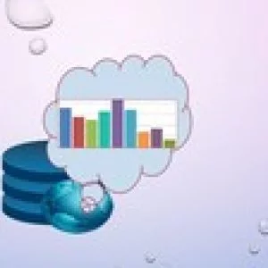 Oracle APEX 19 : SQL, PL/SQL to Web Application Development
