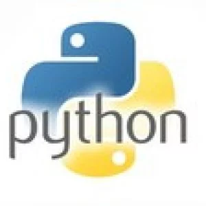 Learn and Master Python Programming (English + Hindi)