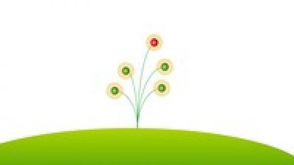 Spring Framework and Spring Boot for Java