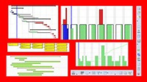 Planning & Control with Oracle Primavera P6 PPM Professional