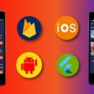 Flutter News Portal App-Firestore Backend(Android&ios App)