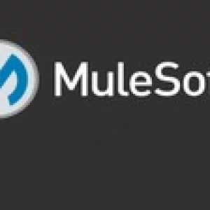 MuleSoft Beginner to Expert (Mule 4)