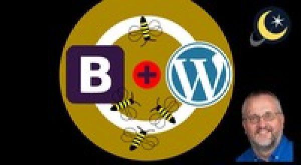 Bootstrap 3 -> Profitable WordPress Theme Development!