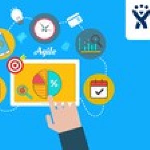 Master Software Testing+Jira+Agile on Live App-Be a TeamLead