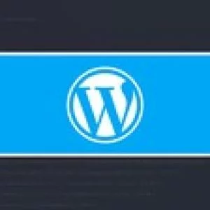 Professional WordPress Theme & Plugin Development