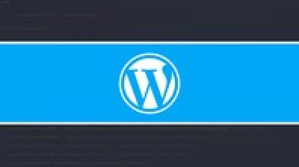 Professional WordPress Theme & Plugin Development