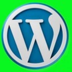 Wordpress for beginners :Build Websites Fast without Coding