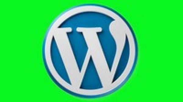 Wordpress for beginners :Build Websites Fast without Coding