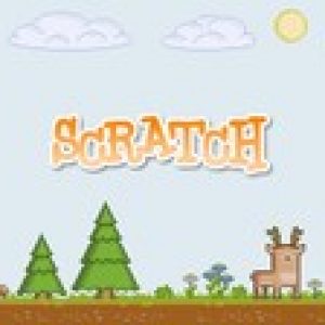 The Scratch Academy - Entry Level Computer Programming