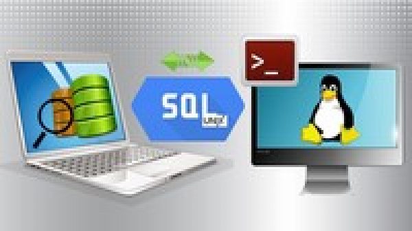 Database Testing with SQL & Unix / Linux commands for Tester