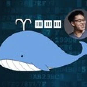 Docker Crash Course for busy DevOps and Developers