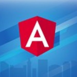 Angular 9 - The Complete Guide (2020 Edition)