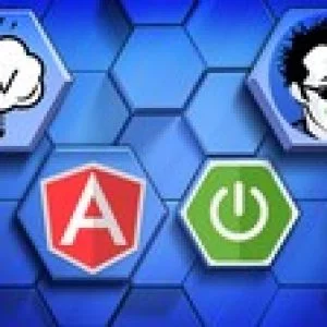 Angular 4 Java Developers