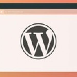 Complete Wordpress Theme Development Course