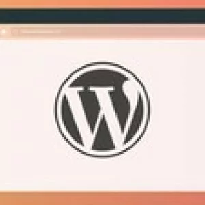 Complete Wordpress Theme Development Course