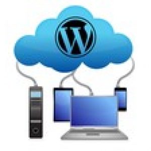 Wordpress Backup & Restore