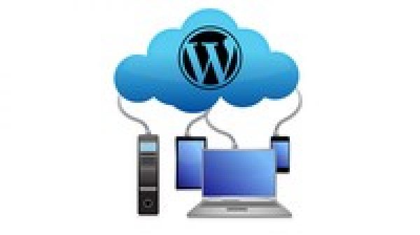 Wordpress Backup & Restore