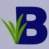 Brainiwi Education