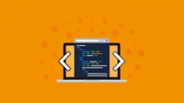 The HTML Web developer Bootcamp