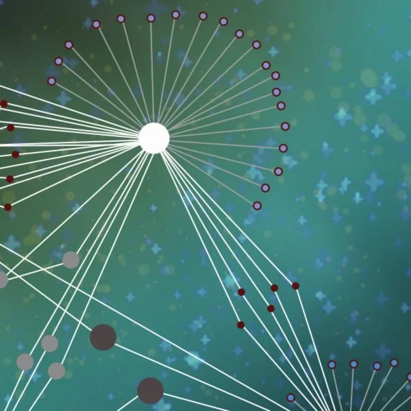 Data Mining Project