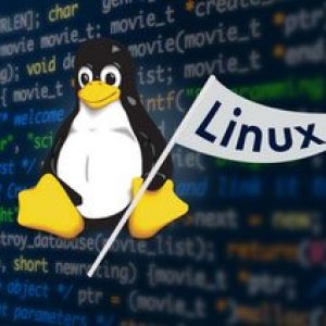 Linux Basics: The Command Line Interface