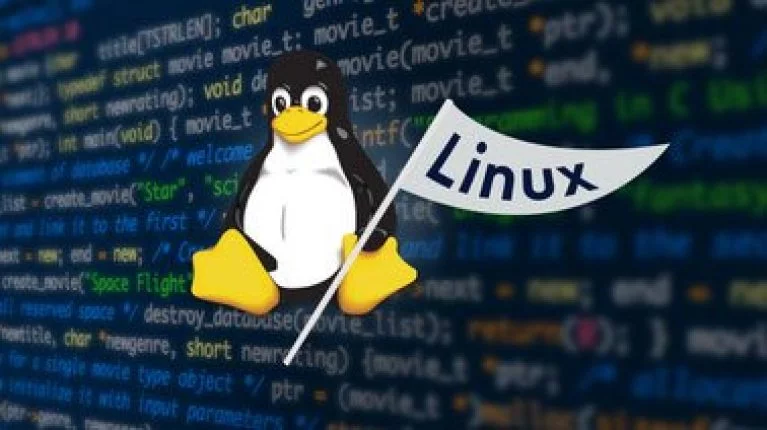 Linux Basics: The Command Line Interface