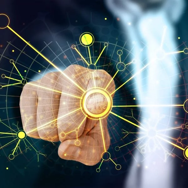 Data Science for Business Innovation