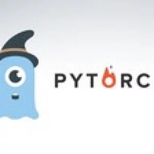 Practical Deep Learning with PyTorch