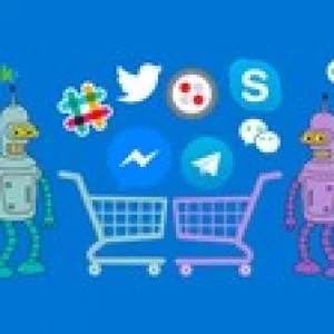 E-Commerce Shopping Bot