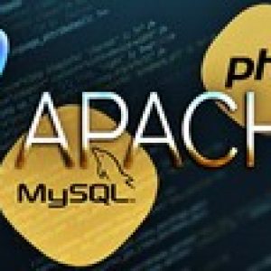 STARTUP APACHE, MYSQL, AND PHP