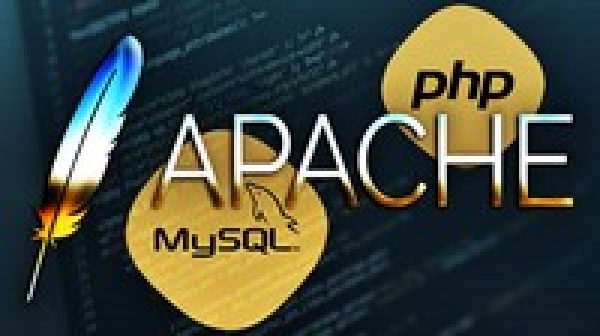 STARTUP APACHE, MYSQL, AND PHP