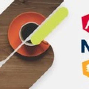 Angular 8+, be professional from page one
