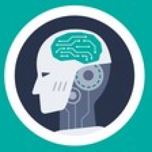 Machine Learning Mastery (Integrated Theory+Practical HW)