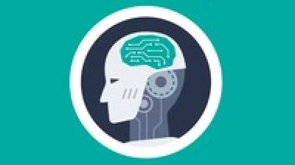 Machine Learning Mastery (Integrated Theory+Practical HW)
