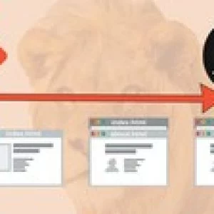 Git & Github