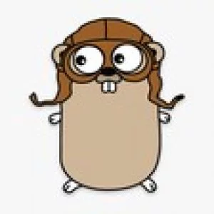 A Sweet Bootcamp on Golang [Feb 2020]