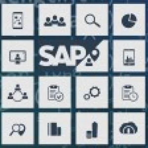 Learn SAP Material Master Archiving & Mass Change