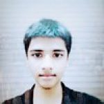 Shashank WordPress Dev