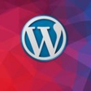 12 Steps to build your own Website with WordPress