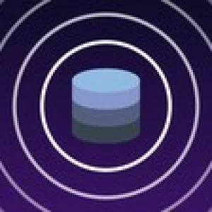 Microsoft SQL Server For Beginners With Project