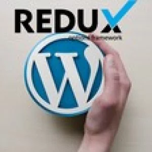 Wordpress Theme Development with Redux Framework 2020