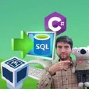 SQL in C# Series: Publish SQL Server Apps by C# in Users PC