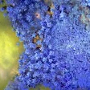 Fundamentals of image processing using Python and opencv