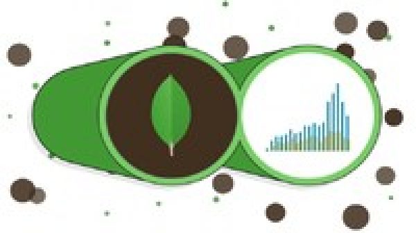 MongoDB In Nutshell - Example driven Quick Start in MongoDB