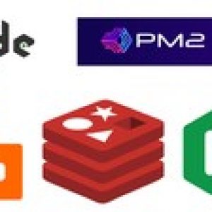 Node JS Cluster with PM2, RabbitMQ, Redis and Nginx