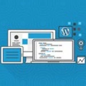 Build Professional Wordpress Websites as a Complete Beginner